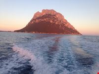 Sardegna